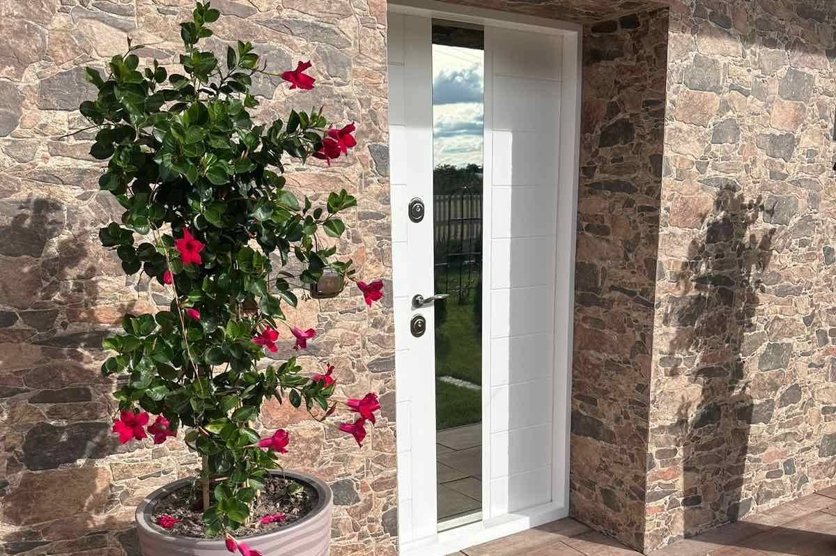 Входные двери в квартиру: безопасность и дизайн