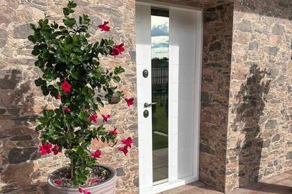 Входные двери в квартиру: безопасность и дизайн