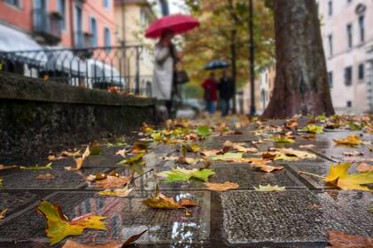 На Вінниччині прогнозують невеликий дощ і туман: погода на 12–13 листопада