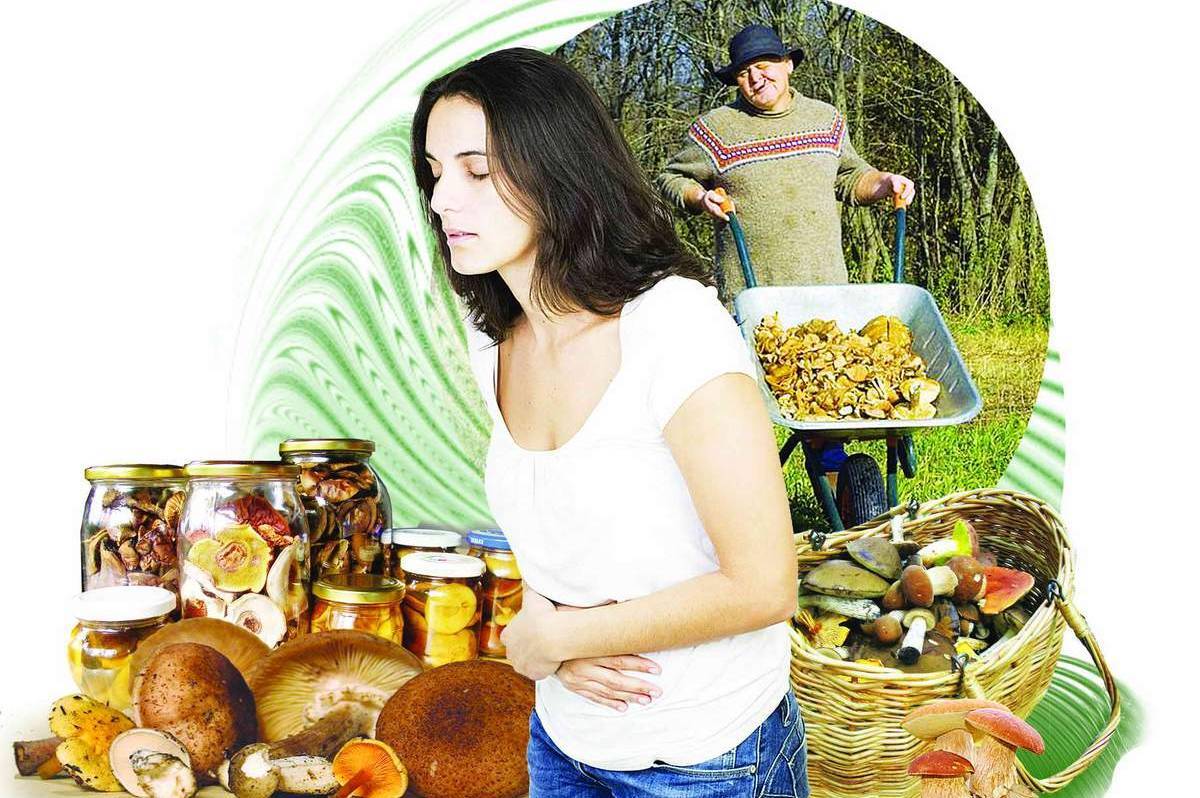 На Вінниччині знову фіксують отруєння грибами: серед постраждалих є дитина