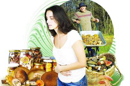 На Вінниччині знову фіксують отруєння грибами: серед постраждалих є дитина