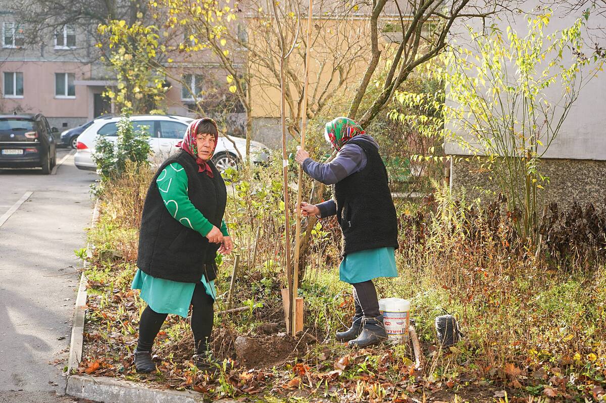 У Вінниці продовжується осіння кампанія з озеленення прибудинкових територій (фото)