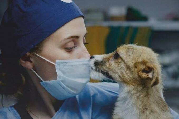 У Вінниці презентують всеукраїнську фотовиставку про роботу зоозахисників у воєнний час