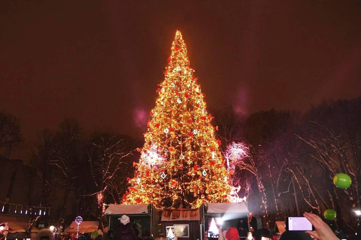 У цьому році Вінниця не витрачатиме бюджетні кошти на встановлення новорічної ялинки