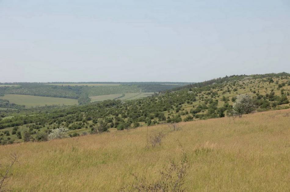 Поблизу «Буші» не буде кар’єру: суд став на бік громади