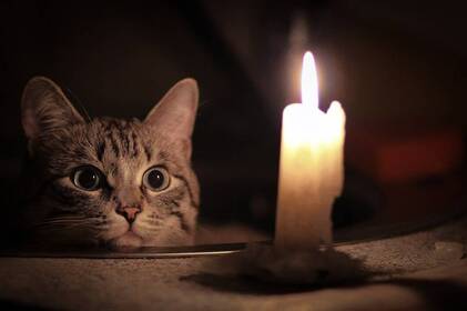 Перелік адрес, за якими у Вінниці 20 листопада будуть лагодити мережі