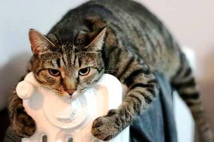 Туман і прояснення: якою буде погода на Вінниччині 24–25 листопада