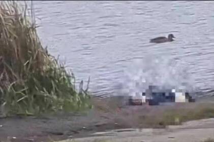 З Вишенського озера у Вінниці дістали тіло потопельниці