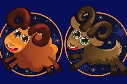 Овен и Козерог совместимость в любви и отношениях