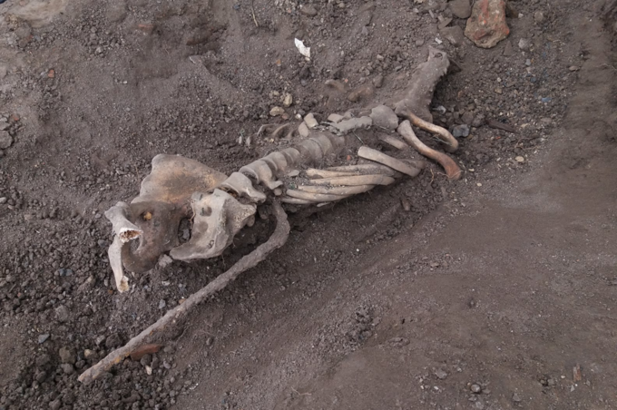 У центрі Вінниці викопали людський скелет