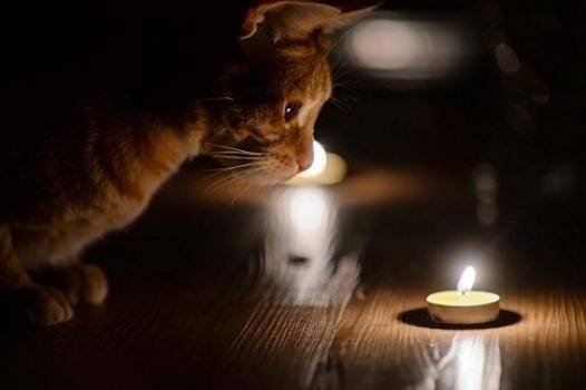 Вінниччина знову за графіками: що відомо про відключення 1 грудня