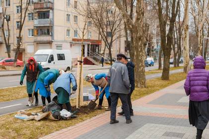 Цієї весни у Вінниці висадять близько 750 дерев