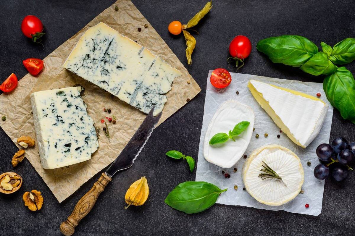 Сыры с плесенью в Украине: стили и вкусовые профили