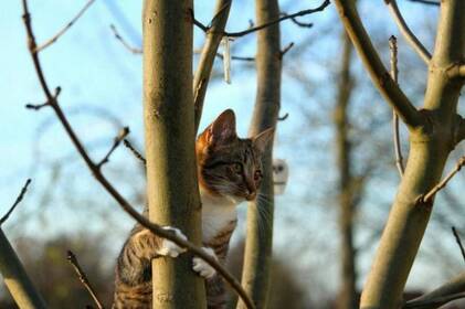 Погода на Вінниччині 3-4 грудня: прогноз