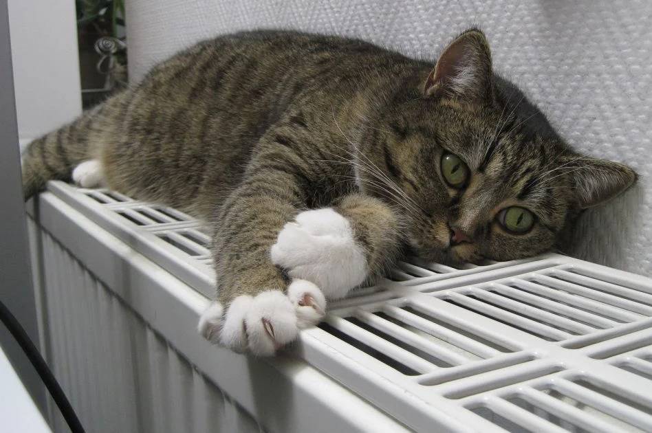 У Вінниці 13 будинків залишаться без опалення та гарячої води 4 грудня: причина 