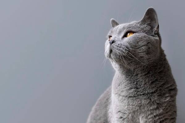 Хмарні, але сухі вихідні: якою буде погода у Вінниці 6–7 грудня