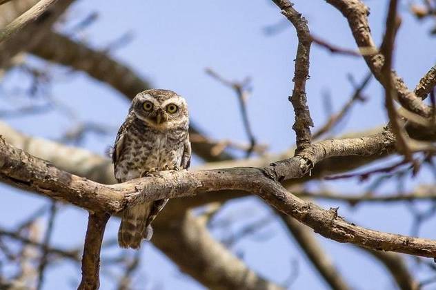 Хмарно, але без опадів: якою буде погода у Вінниці 7–8 грудня