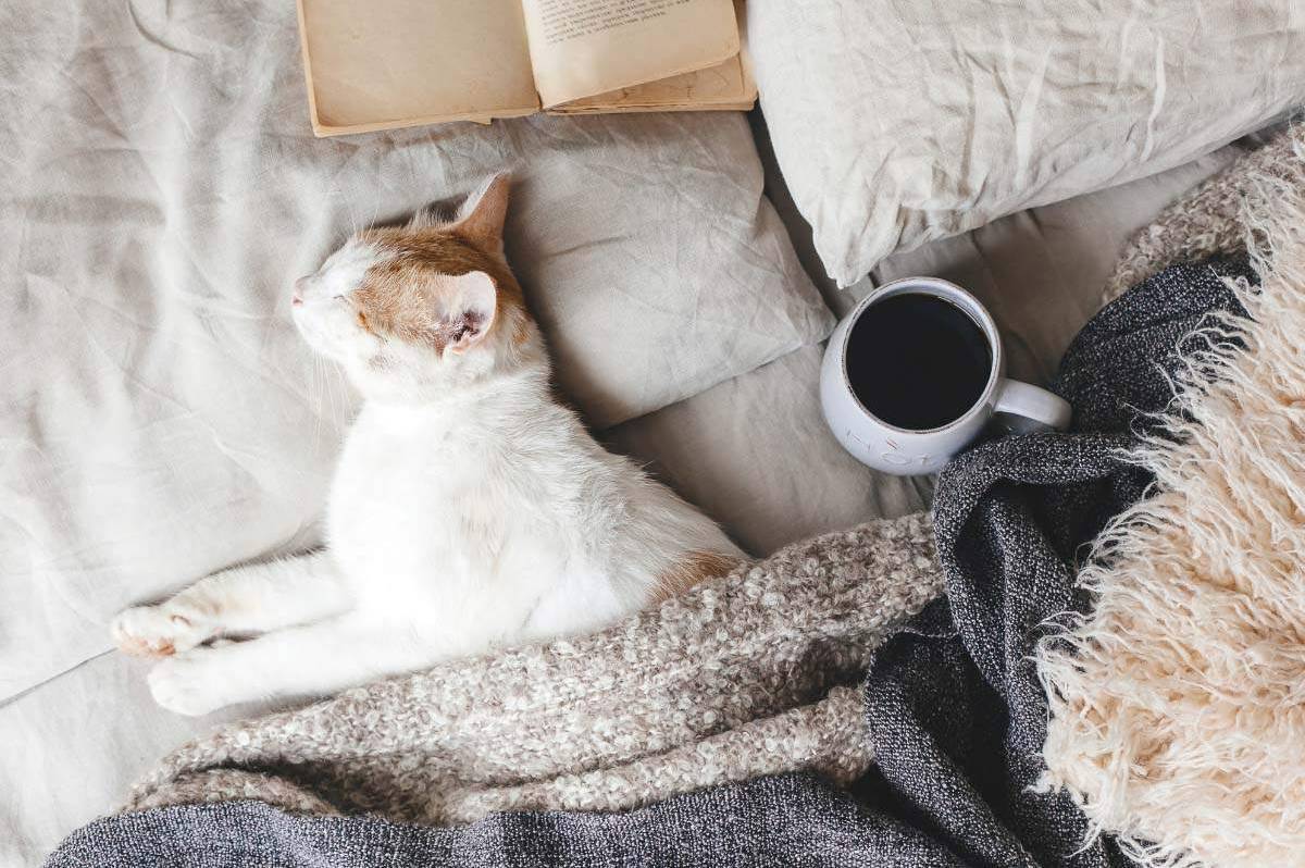 Два дні зимової тиші: яку погоду принесе Вінниччині початок тижня