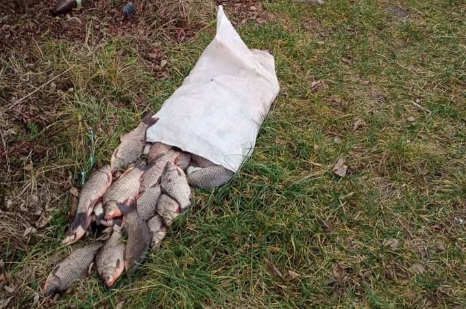 Браконьєр виловив майже 30 кг риби на зимувальній ямі: збитки - понад 110 тис грн