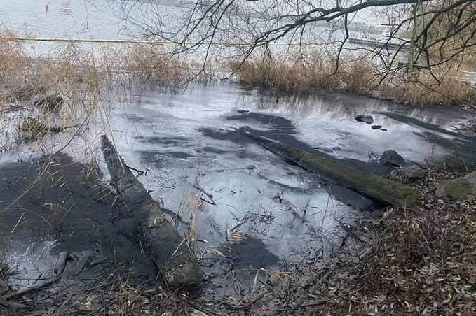 На Ладижинському водосховищі виявили маслянисті плями: ДТЕК пояснив причину
