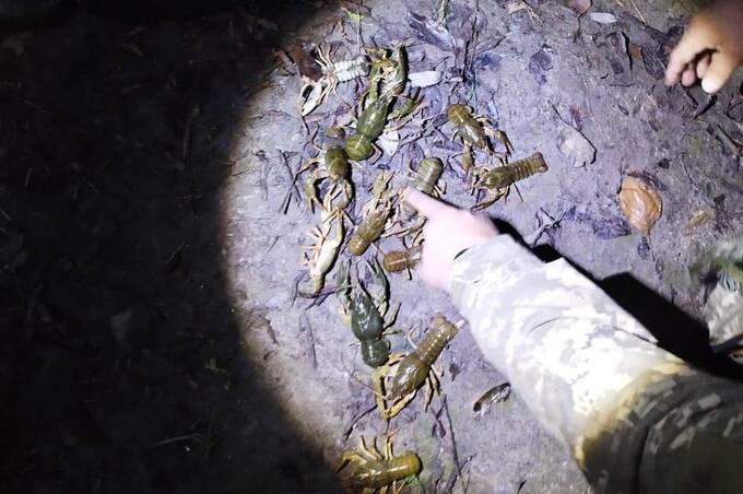 На Вінниччині затримали браконьєра, який ловив раків у заборонений період