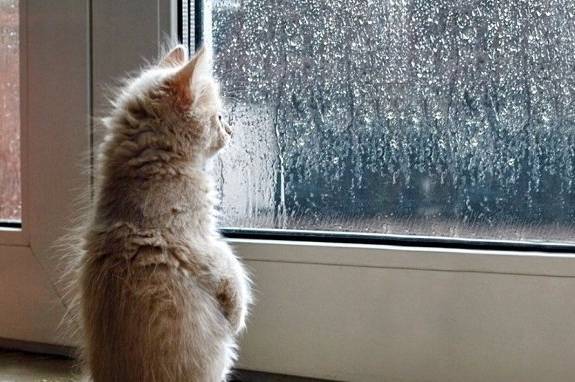 Мінлива хмарність і мокрий сніг: прогноз погоди у Вінниці та області на 13–14 грудня