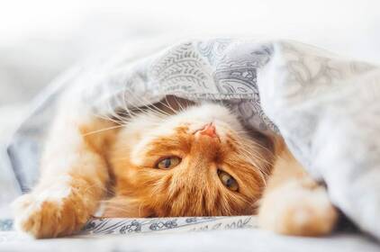 Без опадів, але з ожеледицею: погода на Вінниччині на початку тижня