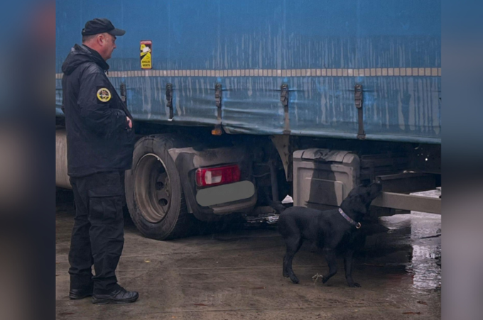 Вінницька митниця у дії: результати боротьби з контрабандою за 11 місяців