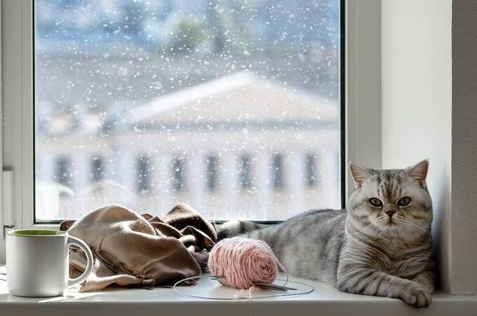 Погода різко зміниться: у п’ятницю на Вінниччині очікують сніг та ожеледицю