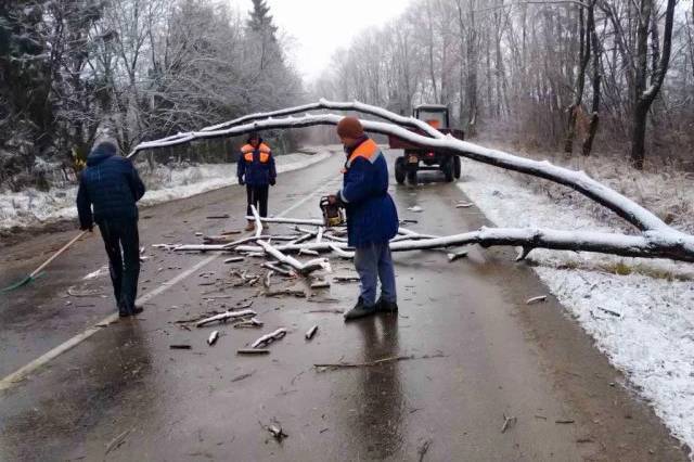 На Вінниччині вночі сильний вітер повалив дерева