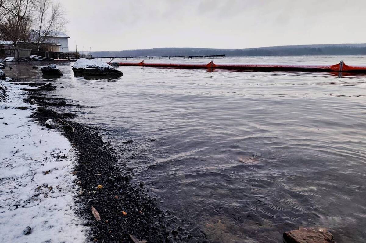 Екологи перевірили Ладижинське водосховище після забруднення нафтопродуктами