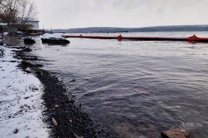 Екологи перевірили Ладижинське водосховище після забруднення нафтопродуктами