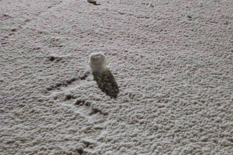 Природний арт-об’єкт: вітер «скрутив» сніг у рулони на Вінниччині