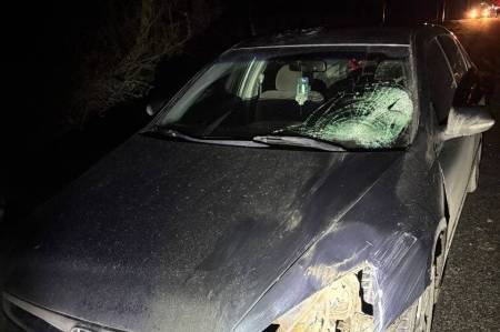 Правоохоронці розслідують обставини аварії, у якій загинула пенсіонерка

