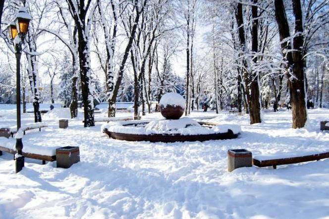 Сніг і посилення морозів: якою буде погода на Вінниччині 12–13 січня