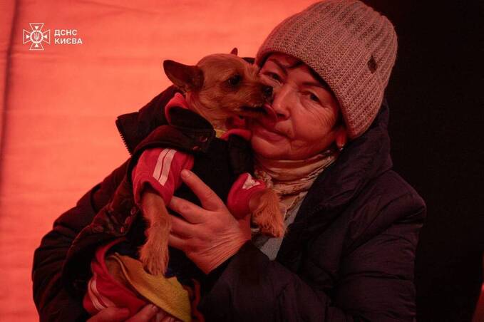 З турботою і про хвостиків: як допомогти тваринам у мороз