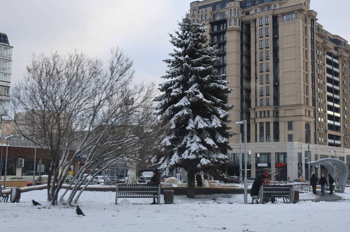 Арктичний холод на Вінниччині: синоптики попереджають про морози до -20°