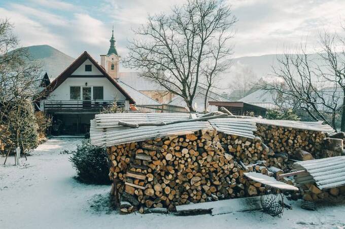 Скільки коштує один куб дров у січні 2026 року: офіційні ціни
