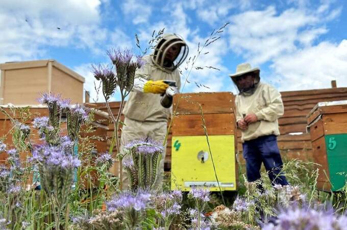Бджолярі, овочівники та фермери Вінниці отримали фінансування з міського бюджету