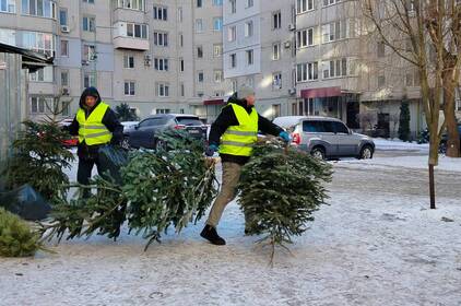 Куди подіти ялинку після свят: у Вінниці зібрали десятки кубометрів дерев
