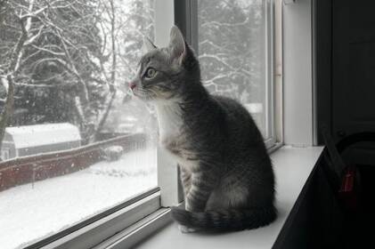 Від -11 уночі до +3 вдень: погодні гойдалки на Вінниччині 24–25 січня