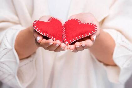 Скільки платять донорам яйцеклітин в Україні і від чого залежить сума