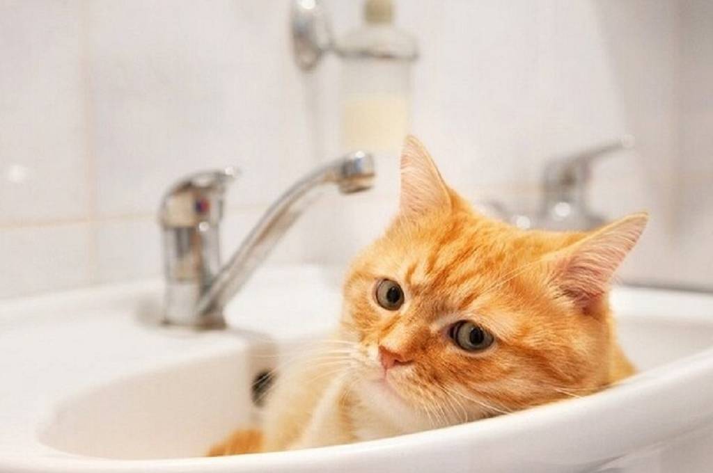 У Вінниці 9 лютого через негоду затримується громадський транспорт, а за низкою адрес вимкнуть воду та світло