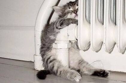 Життєдіяльність Вінниці 12 лютого: ситуація з транспортом, водою та графіками відключень світла