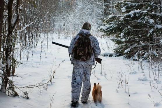 У Вінницькій області 14–15 лютого відбудеться відстріл хижих і шкідливих тварин