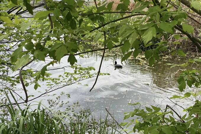 У Вінниці створили відкриту онлайн-карту малих річок громади