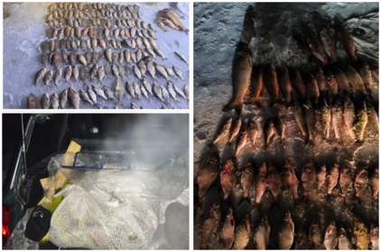 На Південному Бузі викрили браконьєрів: збитки сягнули сотень тисяч гривень