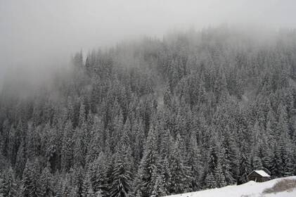 Мороз не відступає: коли чекати снігу та якою буде погода у Вінниці й області