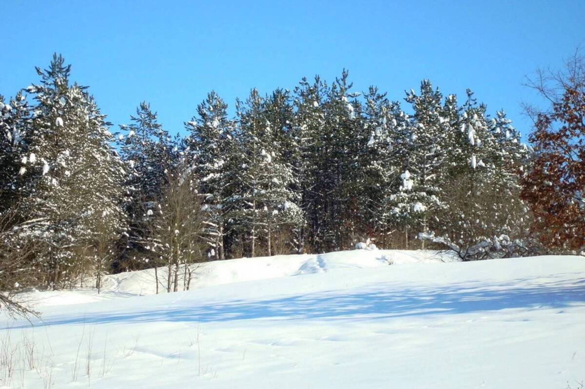 Суд скасував оренду ділянки у національному парку «Кармелюкове Поділля»