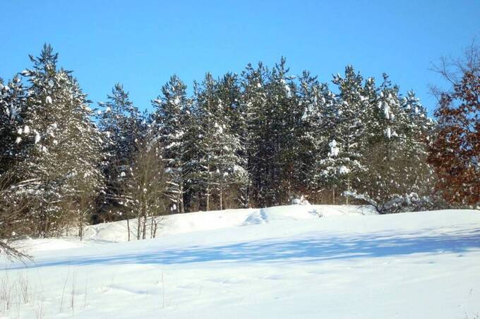Суд скасував оренду ділянки у національному парку «Кармелюкове Поділля»